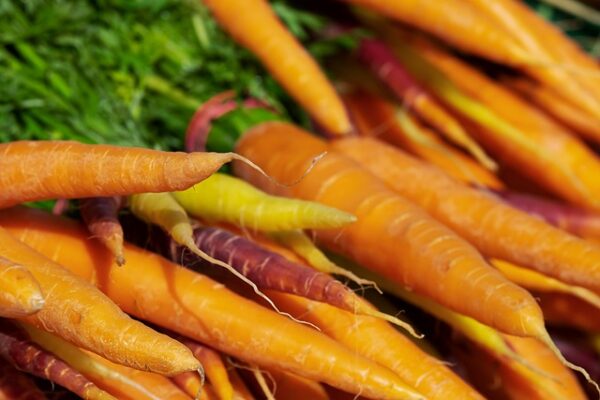 carrots-g7db3d36b1_640