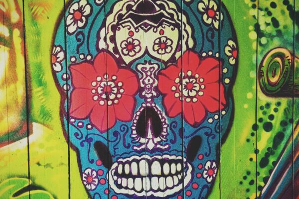 skull-g8ac783f75_1920